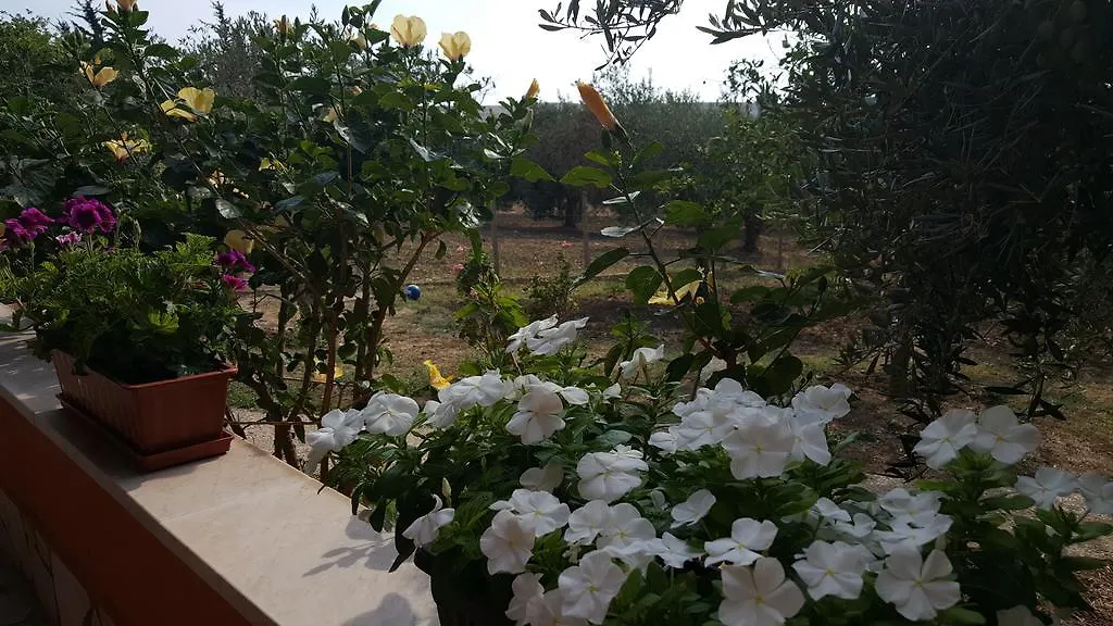 Antico Ulivo Guest House Agrigento